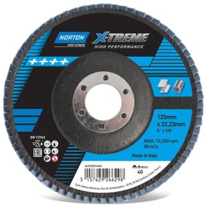 NORTON lapiņdiski XTREM+ R860 125x22mm P60 1gb